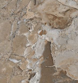 Exotica Brown $1.99 / sq. ft.